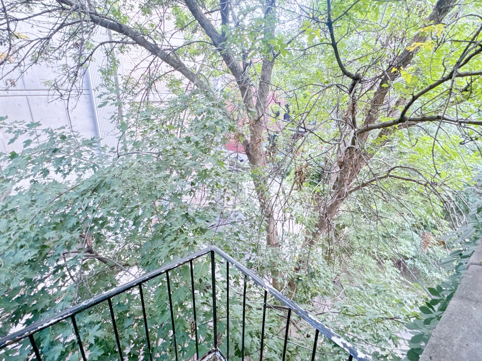 Balcon — 17